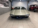 pantera_2.jpg