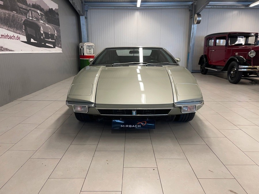 pantera_2.jpg