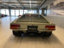 pantera_6.jpg