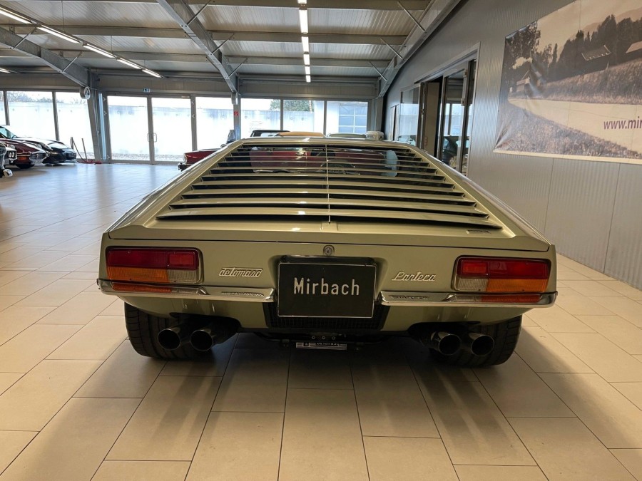 pantera_6.jpg