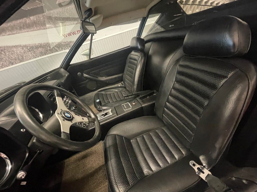 pantera_14.jpg